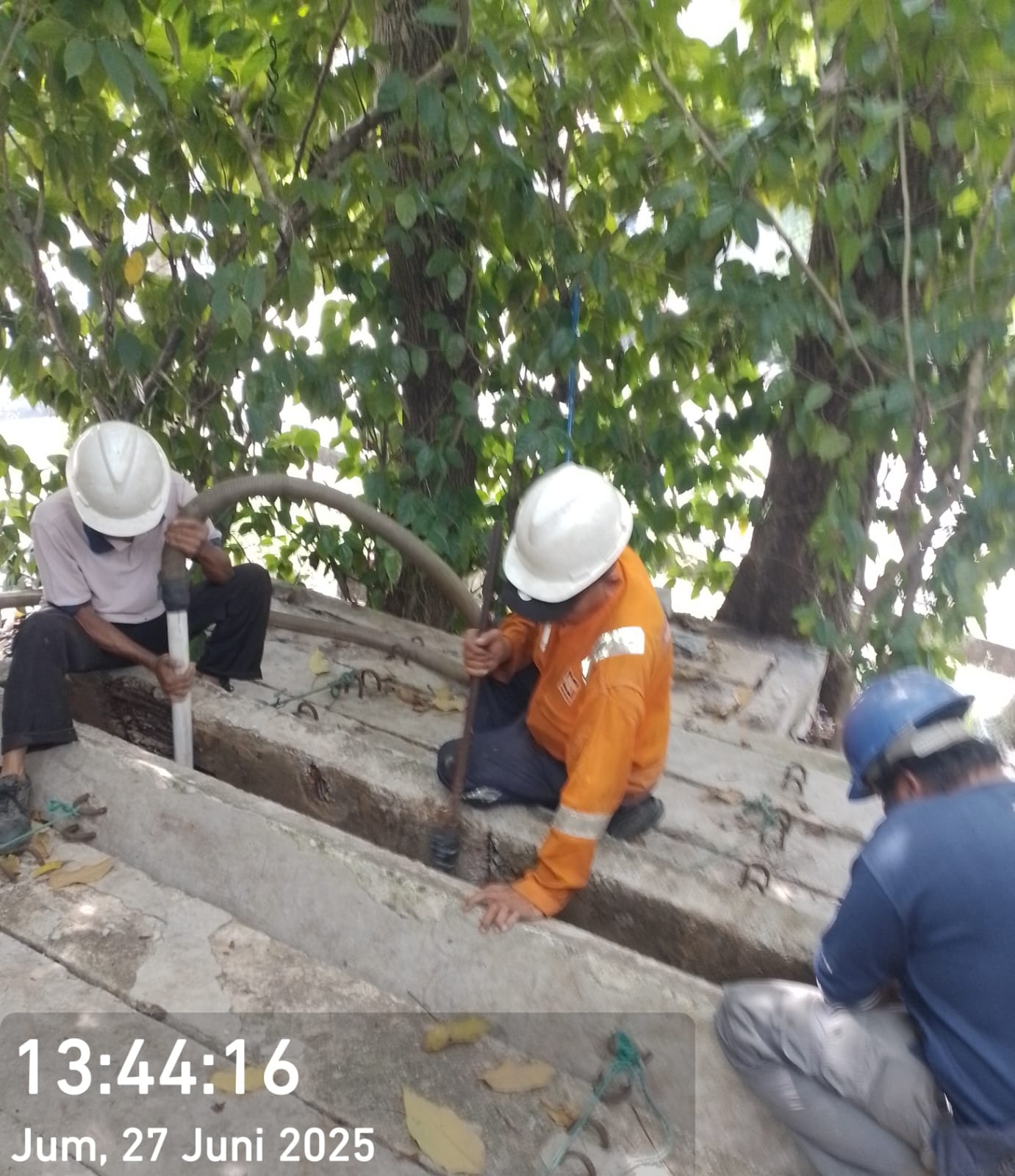 Proyek 6